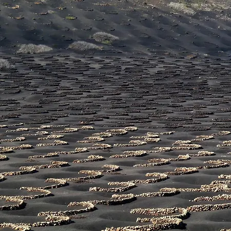 Casita Blanca, Jardin Del Sol 1 *