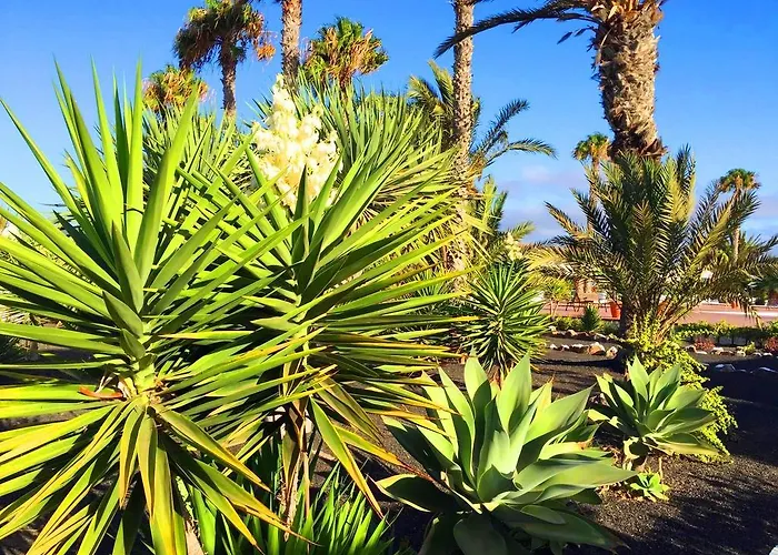 Casita Blanca, Jardin Del Sol 1 Prázdninový dům *