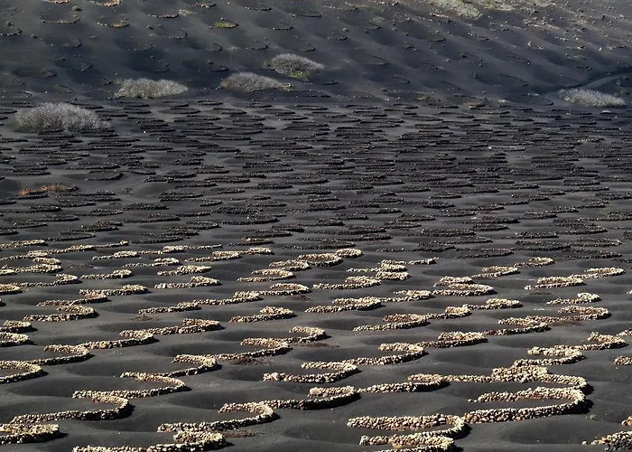 Casita Blanca, Jardín Del Sol 1 *